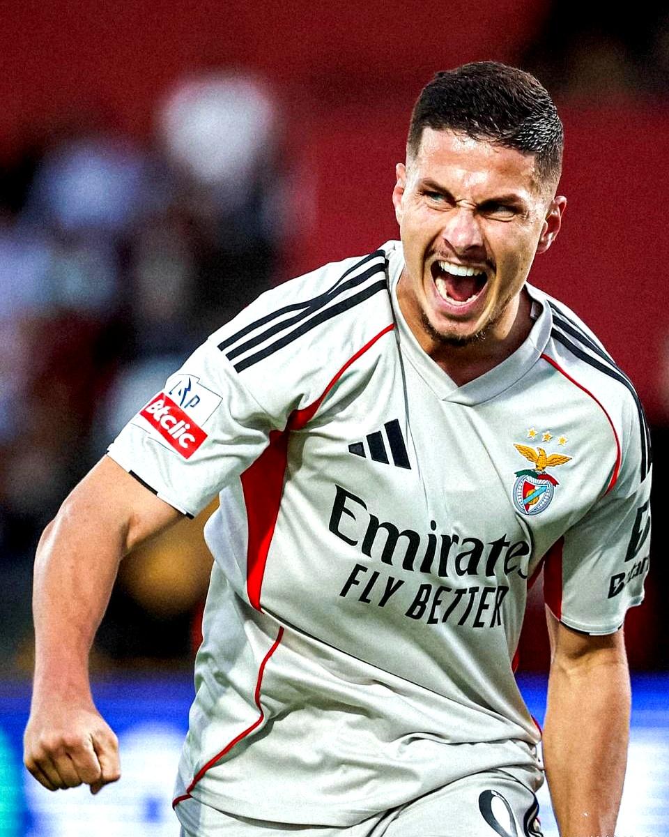  菲尼克斯太阳整体战术介绍分析 